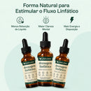 Site Oficial Linflora® Gotas Para Drenagem Linfática